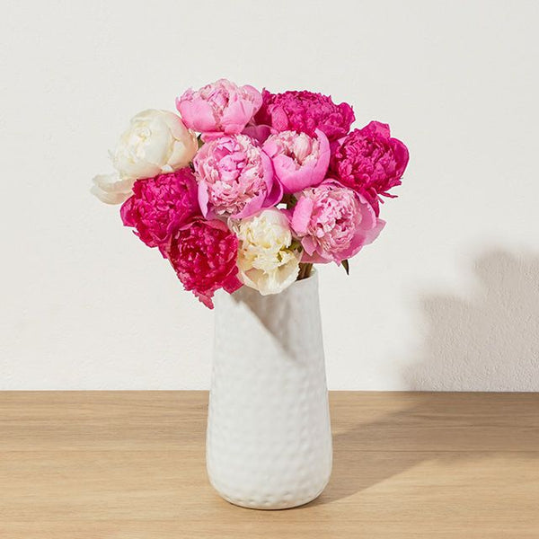 Bouquet Pivoines Choix du Fermier – Pivoines Saisonnières – Bouquets.ma