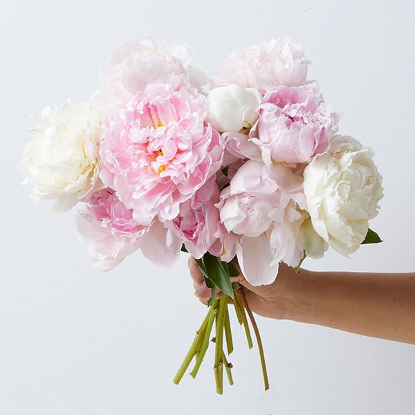 Bouquet Farmer's Choice Peonies pivoines saisonnières Maroc