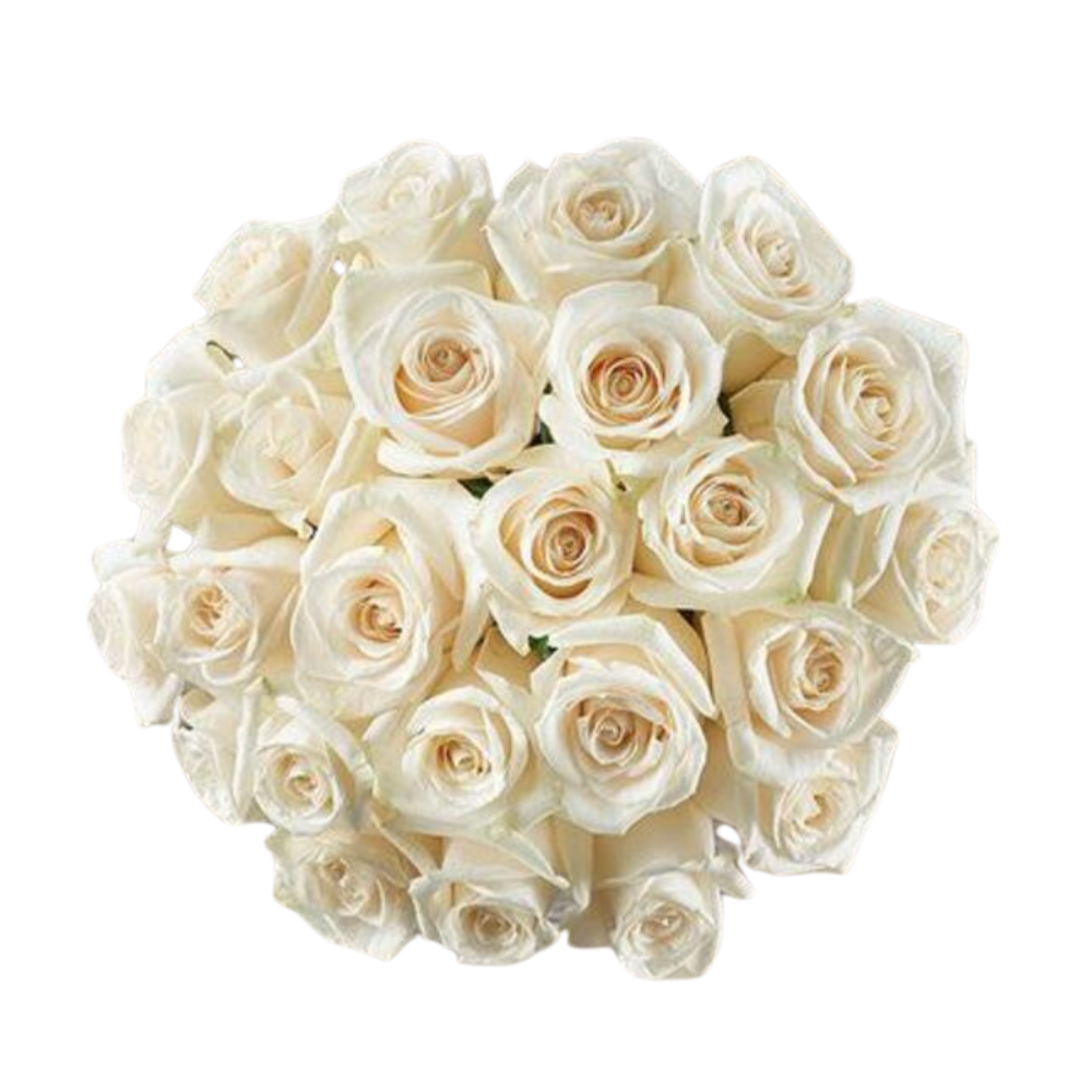 Bouquet de Roses Blanches Luxueuses