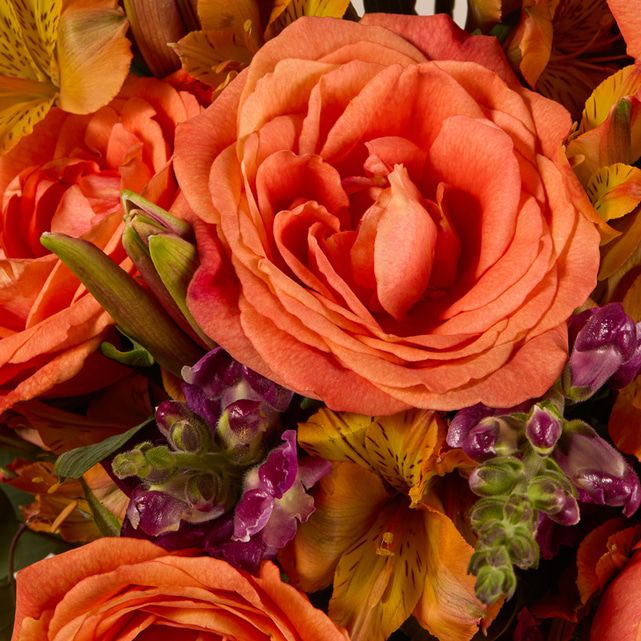 Bouquet Sangria Épicée – Lys Noir Profond, Snapdragons Bordeaux & Roses Orange – Bouquets.ma