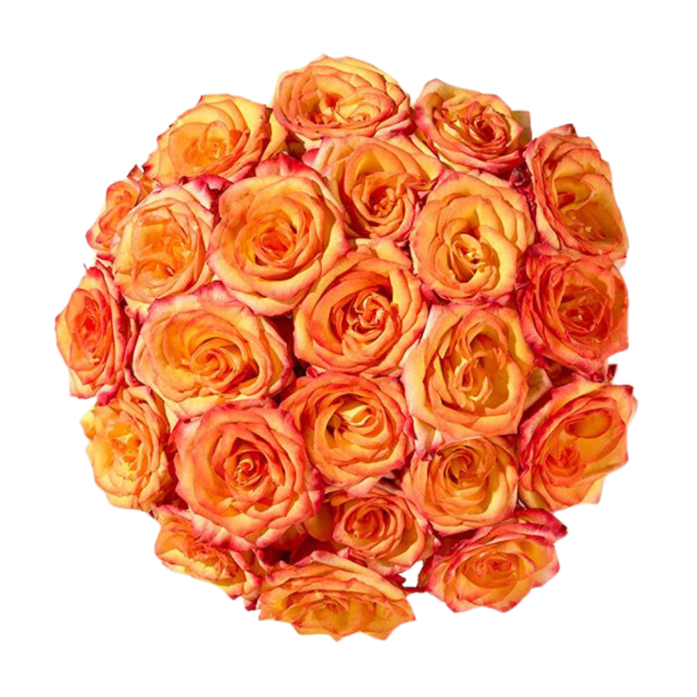 Bouquet de Roses Orange