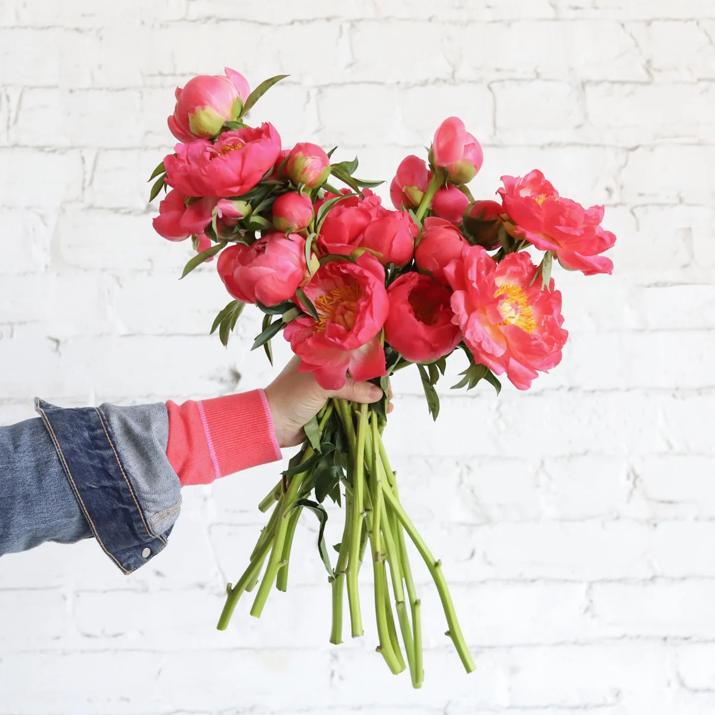 Collection Bouquets