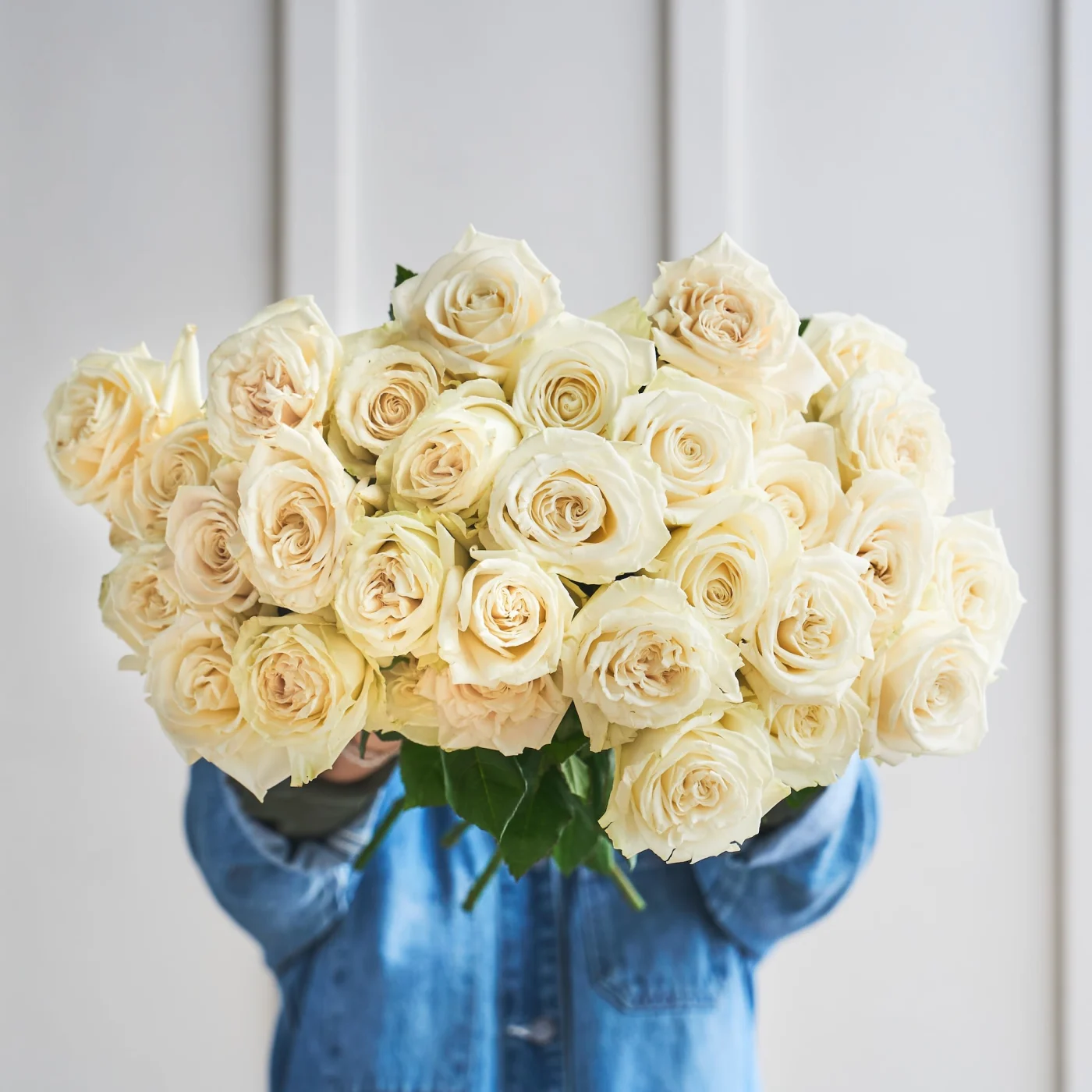 Collection Roses