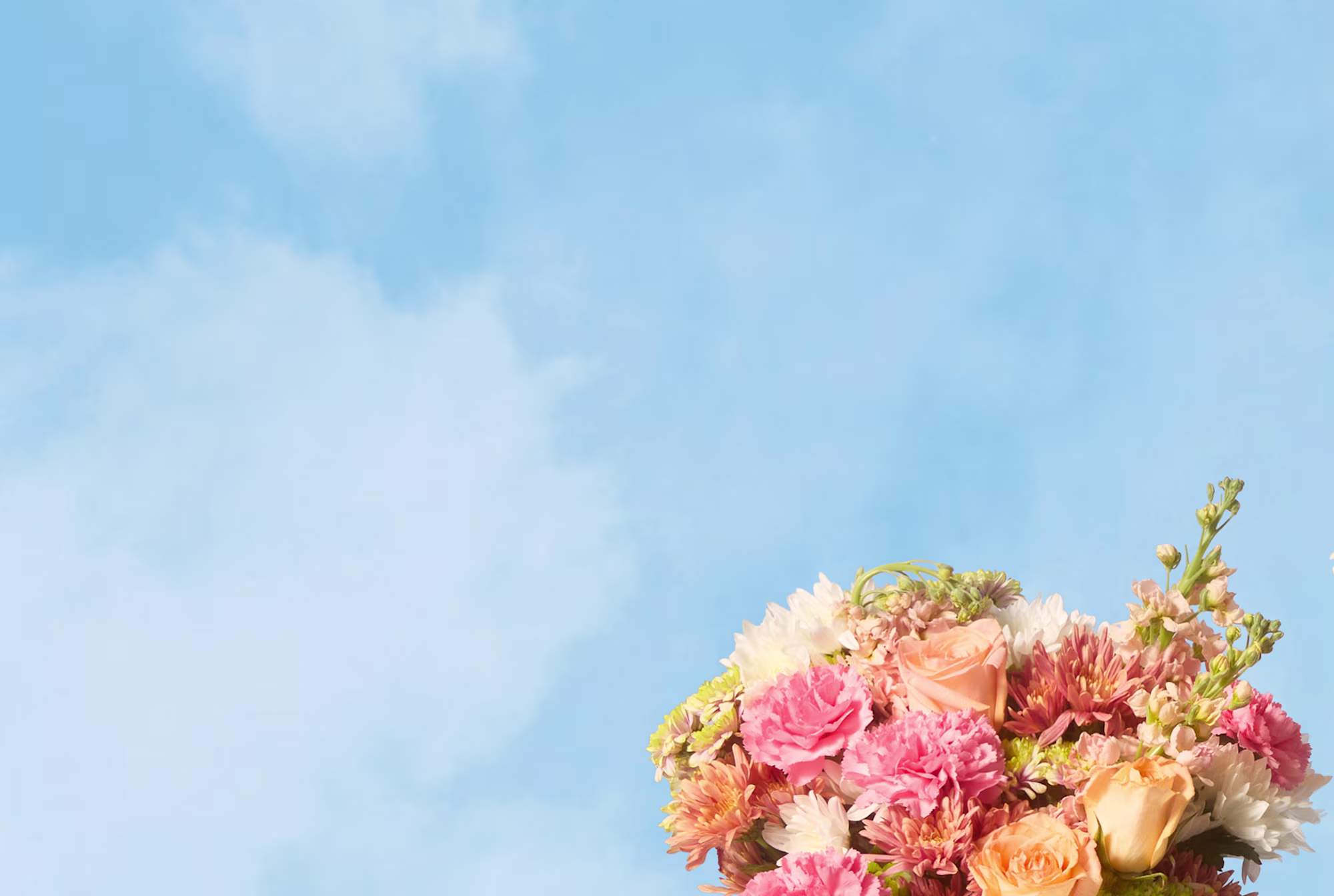 Abonnements Bouquets.ma